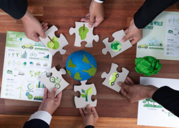 Sustainable Design Drives Market Share